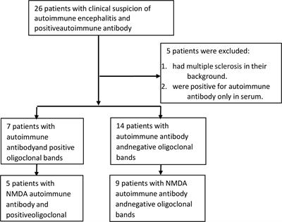 Cognitive impairments in autoimmune encephalitis: the role of autoimmune antibodies and oligoclonal bands